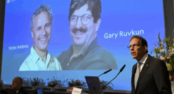 Otorgan el premio Nobel de Medicina a Victor Ambros y Gary Ruvkun